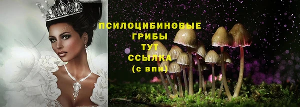 прущий лед Магадан