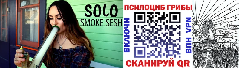 как найти закладки  Кириллов  Псилоцибиновые грибы мицелий 